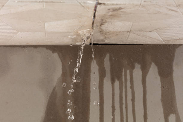 Professional Burst Pipe Cleanup technician working in George, WA